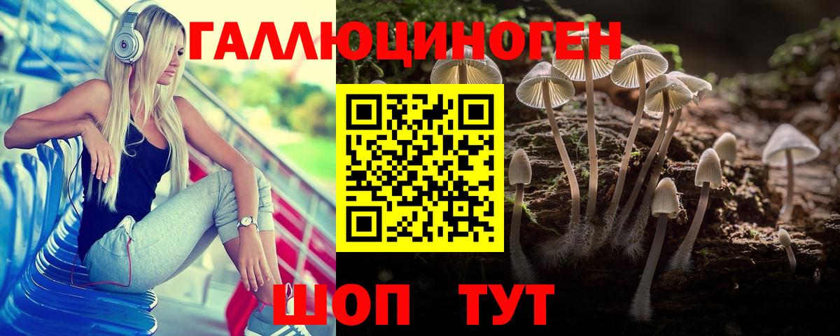 Псилоцибиновые грибы прущие грибы  цена наркотик  Конаково  Вход с VPN 